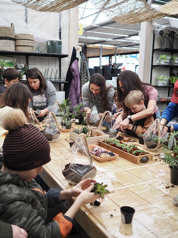 atelier-terrarium-enfant