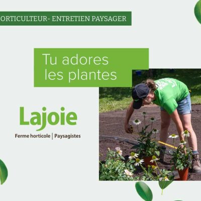 horticulteur-entretien-paysager